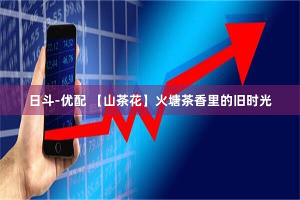 日斗-优配 【山茶花】火塘茶香里的旧时光